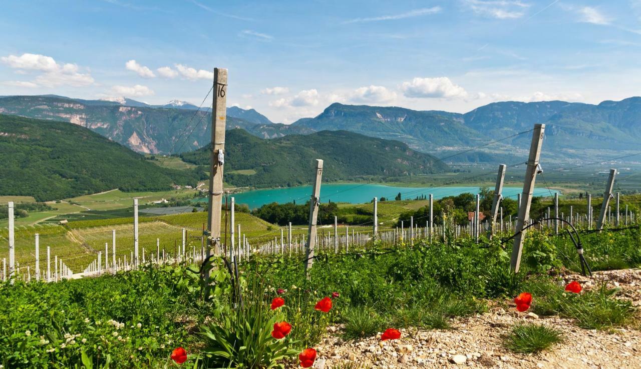 Hotel Weingut Klosterhof 卡尔达罗 外观 照片